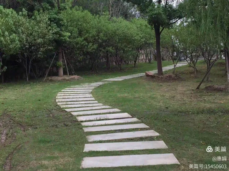 第八节：s型构图课程与作业